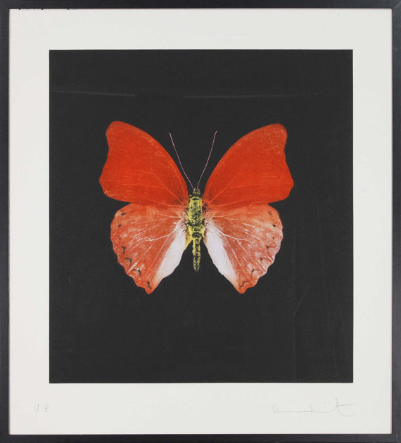 Damien Hirst - Butterfly - Image du cadre