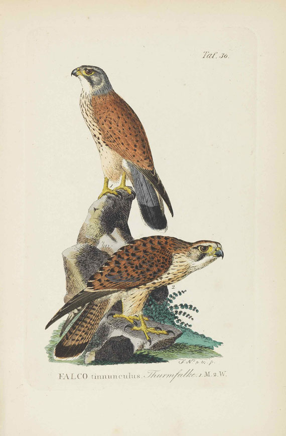 Johann Andreas Naumann - Naumanns Naturgeschichte der Vögel. 15 Bände - Autre image