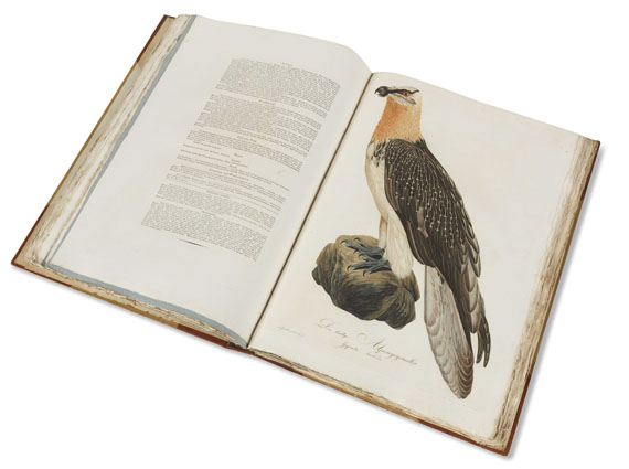 Johann Conrad Susemihl - Teutsche Ornithologie - Autre image
