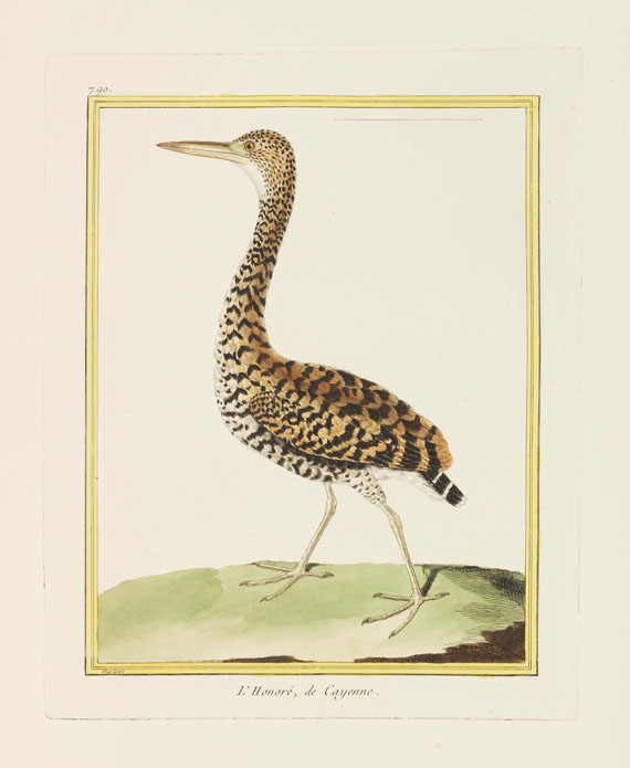Georges Louis Leclerc Buffon - Histoire naturelle des oiseaux - Autre image