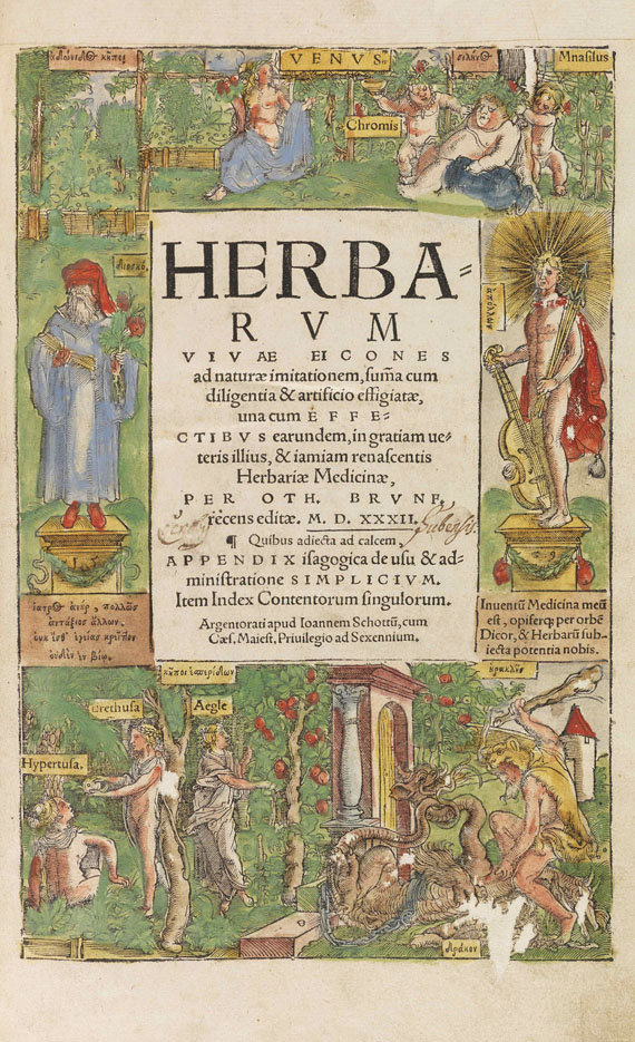 Otto Brunfels - Herbarum vivae eicones - Autre image