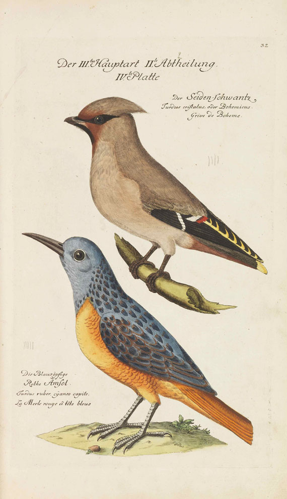 Johann Leonhard Frisch - Vorstellung der Vögel in Deutschland - Autre image