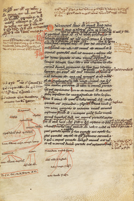  Aristoteles - Logica vetus, Pergamenthandschrift - Autre image