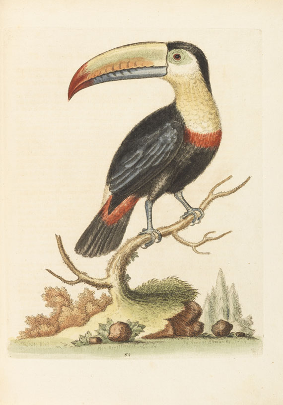 George Edwards - Natural history of birds, 4 Bde. + Gleanings of natural history, 3 Bände - Autre image