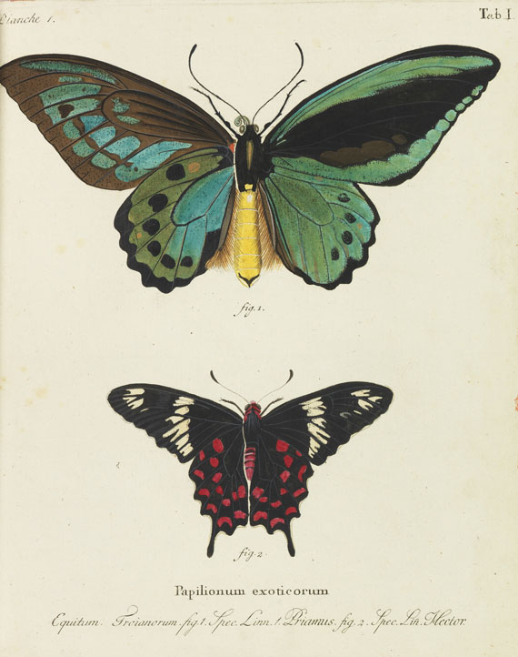 Johann Christoph Esper - Schmetterlinge + Ausländische Schmetterlinge, zus. 20 Bände - Autre image