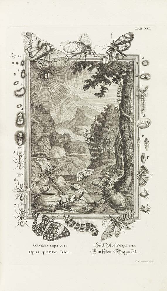 Johann Jakob Scheuchzer - Physica sacra. 4 Bände - Autre image