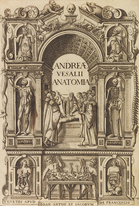 Andreas Vesalius - Anatomia - Autre image