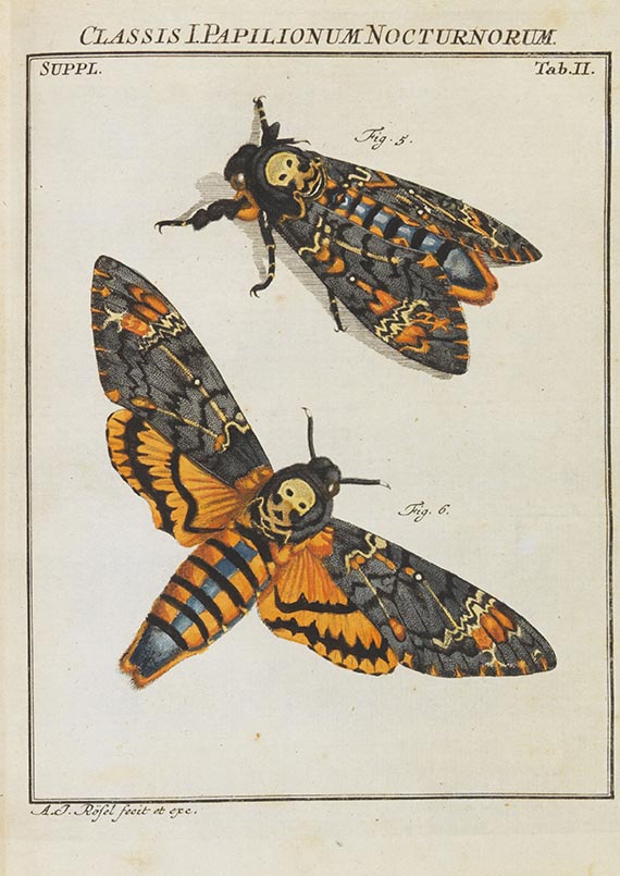 Augustin Johann Rösel von Rosenhof - Der monatlich-herausgegebenen Insecten-Belustigung - Autre image