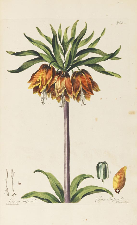 John Edwards - The British herbal - Autre image