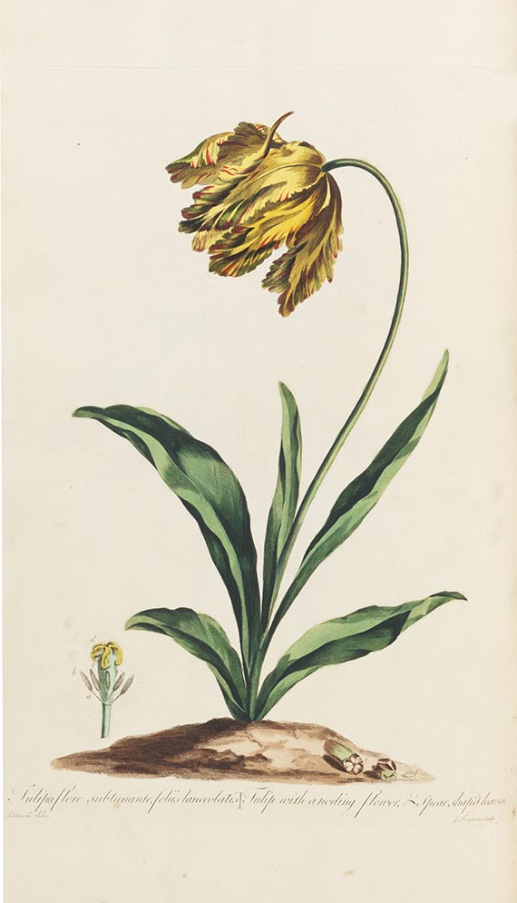 John Edwards - The British herbal - Autre image