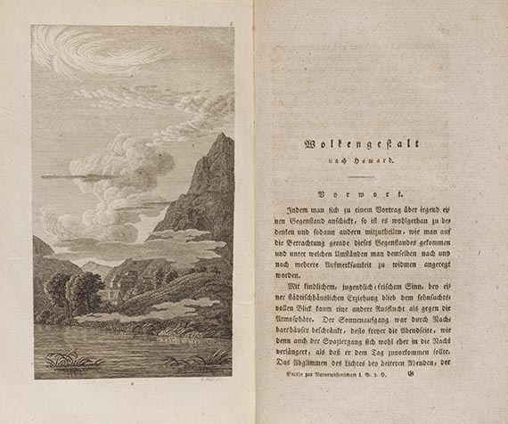 Johann Wolfgang von Goethe - Morphologie. 6 Hefte in 2 Ledermappen - Autre image