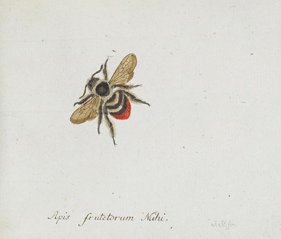 Georg Wolfgang Franz Panzer - Faunae insectorum Germanicae Initia. 190 Hefte und Index in 51 Bänden. - Autre image