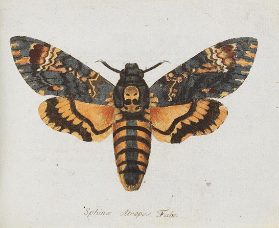 Georg Wolfgang Franz Panzer - Faunae insectorum Germanicae Initia. 190 Hefte und Index in 51 Bänden. - Autre image