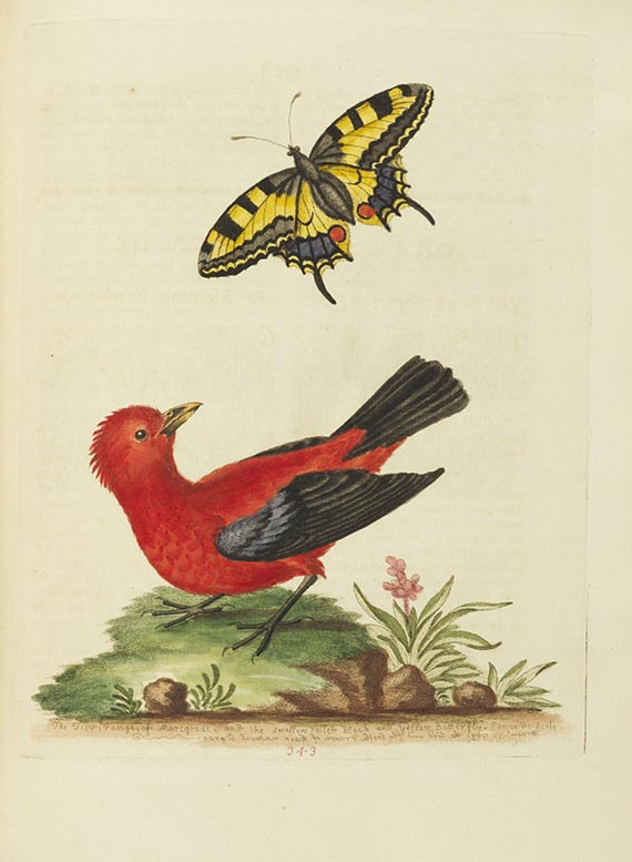 George Edwards - A Natural History of Birds & Gleanings - Autre image