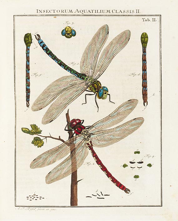 Augustin Johann Rösel von Rosenhof - Insecten-Belustigung, Bände 1-4