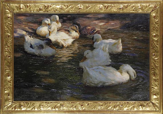 Alexander Koester - 9 Enten im Abendlicht - Image du cadre