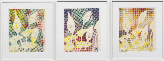 Sigmar Polke - Kallablüten (3-teilig) - Image du cadre