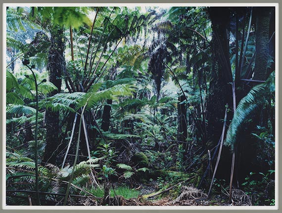 Thomas Struth - Paradise 34, The Big Island, Hawai'ian Islands 2006