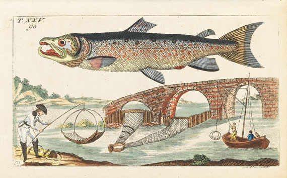 Gottlieb Tobias Wilhelm - Unterhaltungen aus der Naturgeschichte - Autre image