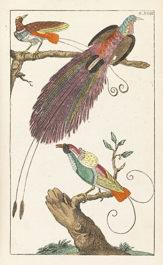 Gottlieb Tobias Wilhelm - Unterhaltungen aus der Naturgeschichte - Autre image