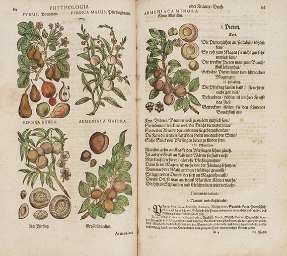 Johann Joachim Becher - Parnassus medicinalis illustratus
