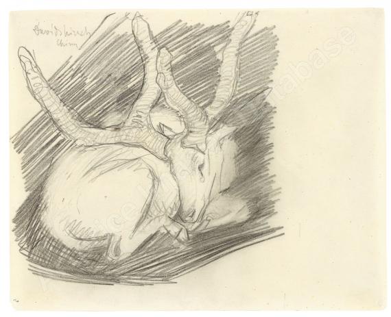 FRANZ MARCDavidshirsch (Liegen...