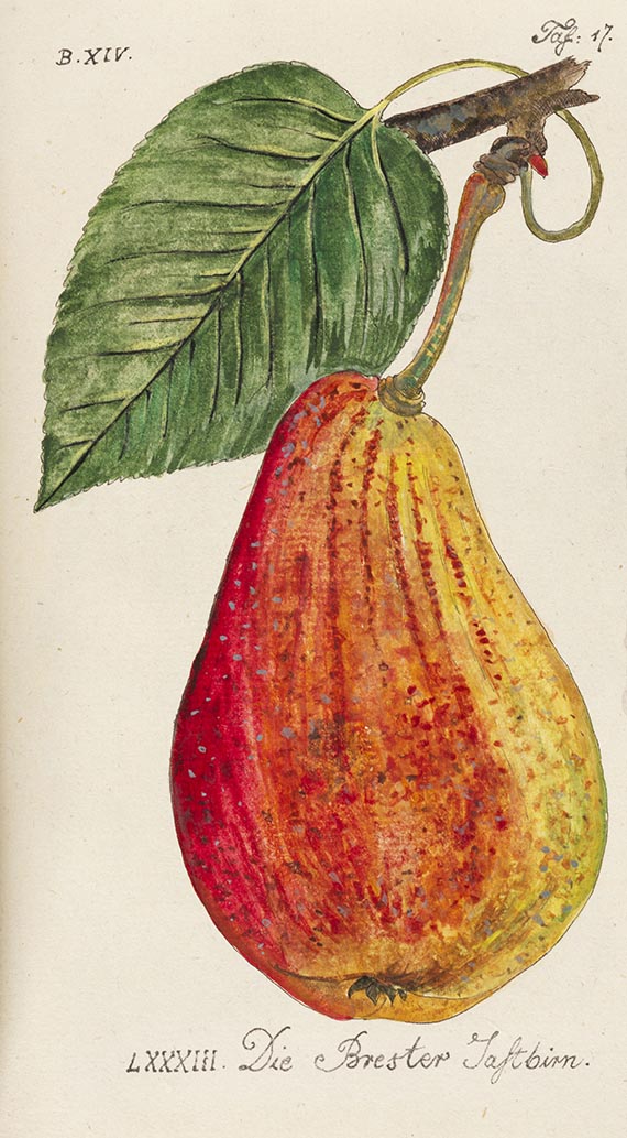 Johann Volckmar Sickler - Der teutsche Obstgärtner. 22 Bände