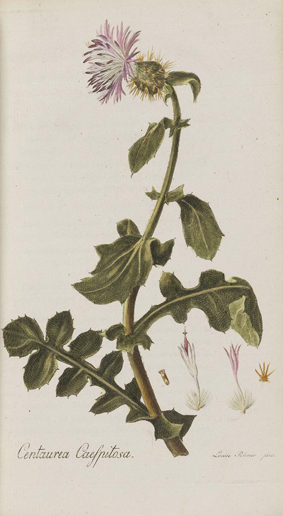 Johann Jacob Roemer - Flora Europaea inchoata