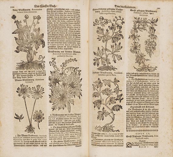 Theodor Zwinger - Theatrum Botanicum