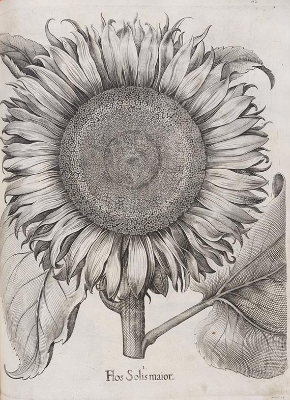 Basilius Besler - Hortus Eystettensis. Curis secundis.